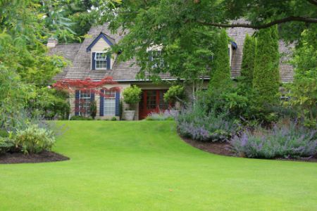 Go Pro Or No? That's The Lawn Care Question