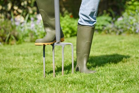 Loosen Up: Why Core Aeration Is A Must!